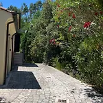 Amaranta - Mytouristhome