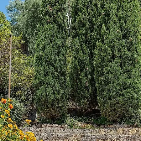 Villa Amaranta